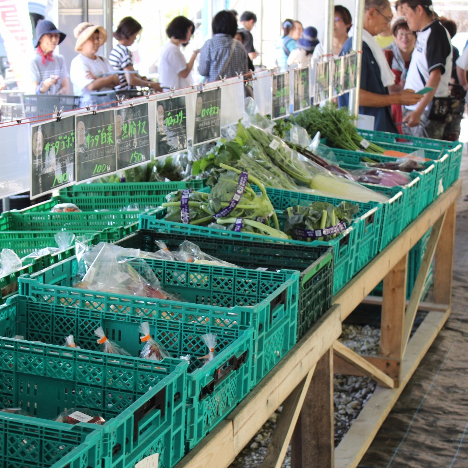 写真：陳列された新鮮野菜