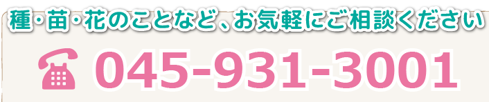 お問合せはこちら