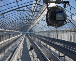 写真：補強アーチ入り野菜ハウス