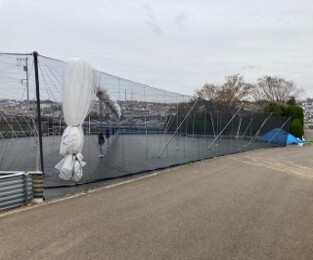 写真：ブルーベリー　防鳥施設