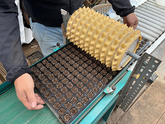 写真：種を植えるくぼみを作る機械
