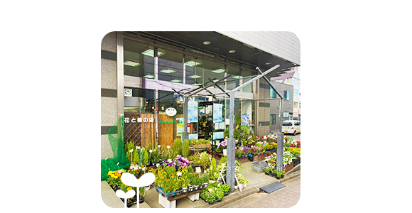 写真：中山本店の外観