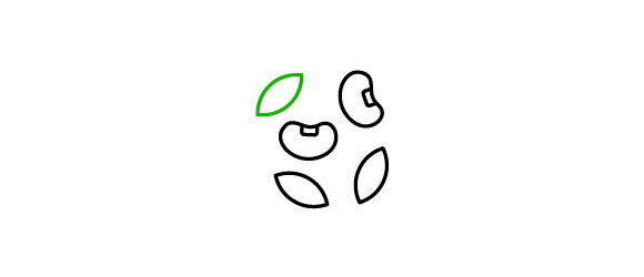 アイコン：種