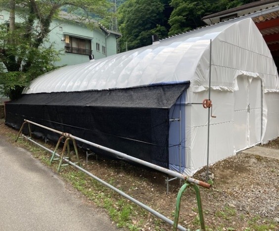 写真：キノコ栽培ハウス