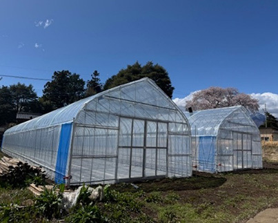 写真：野菜栽培パイプハウス