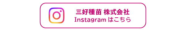 バナー：三好種苗株式会社公式インスタグラム