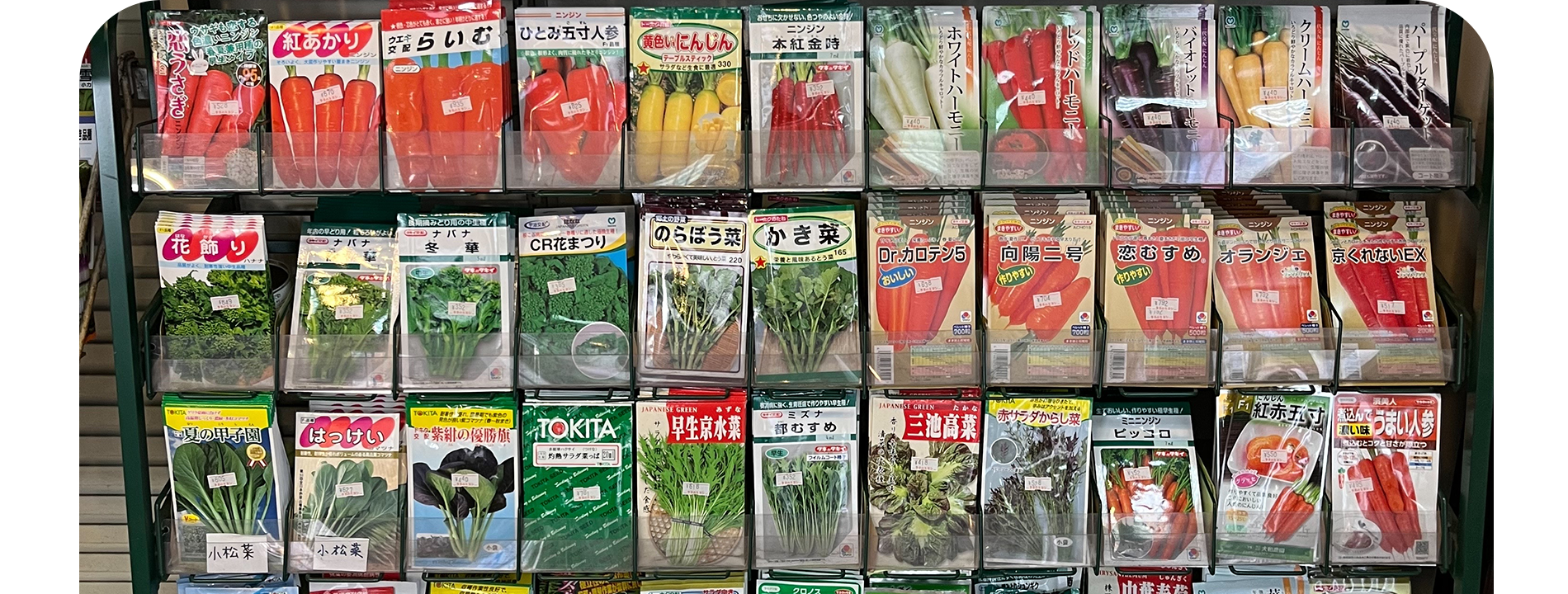 スライド写真4：販売している多種類の種が整列している様子