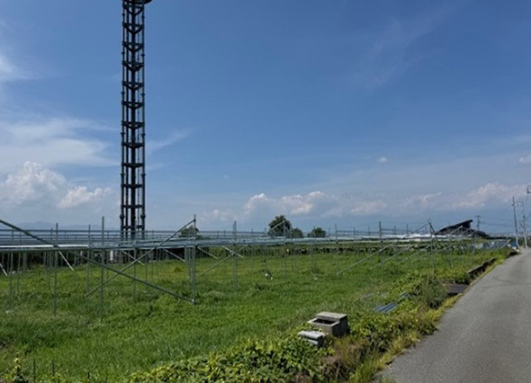 写真：果樹棚
