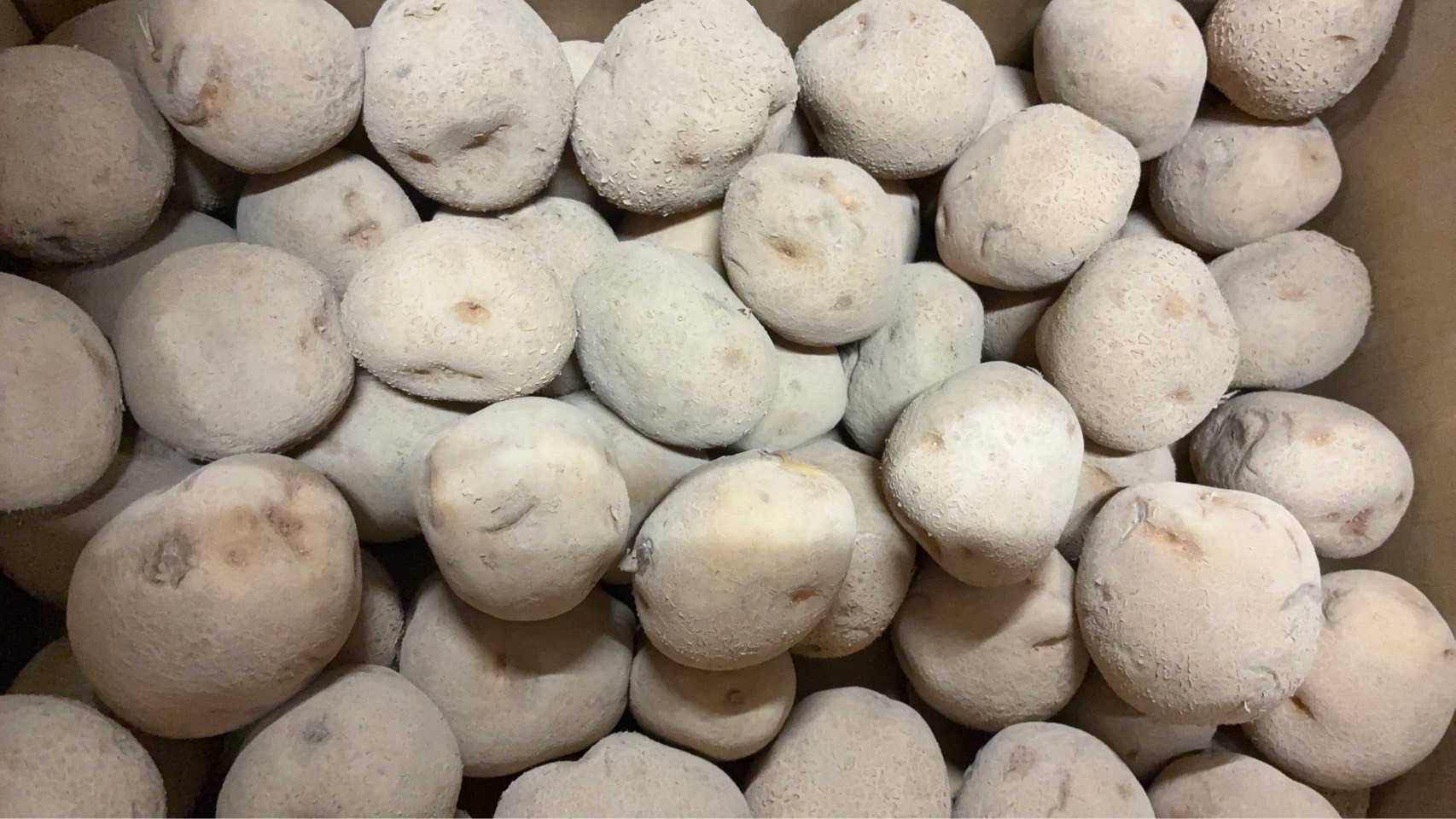 ニュース | ニュース｜課題解決におすすめの農業資材や、季節の商品