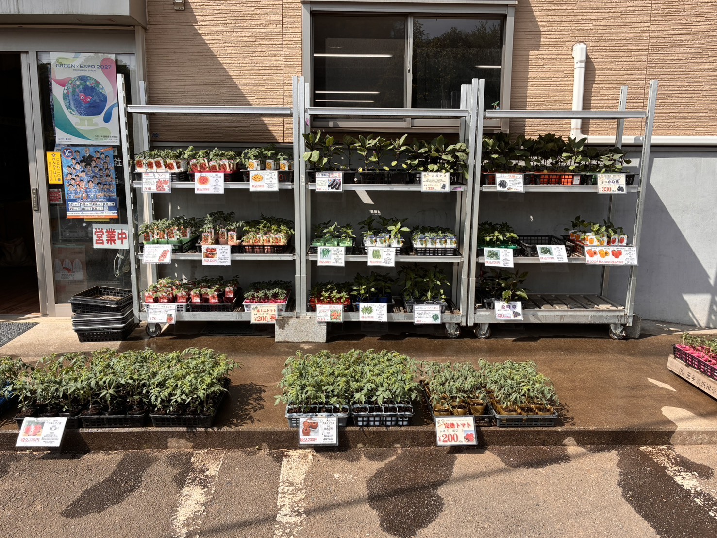 写真：秋じゃがいも